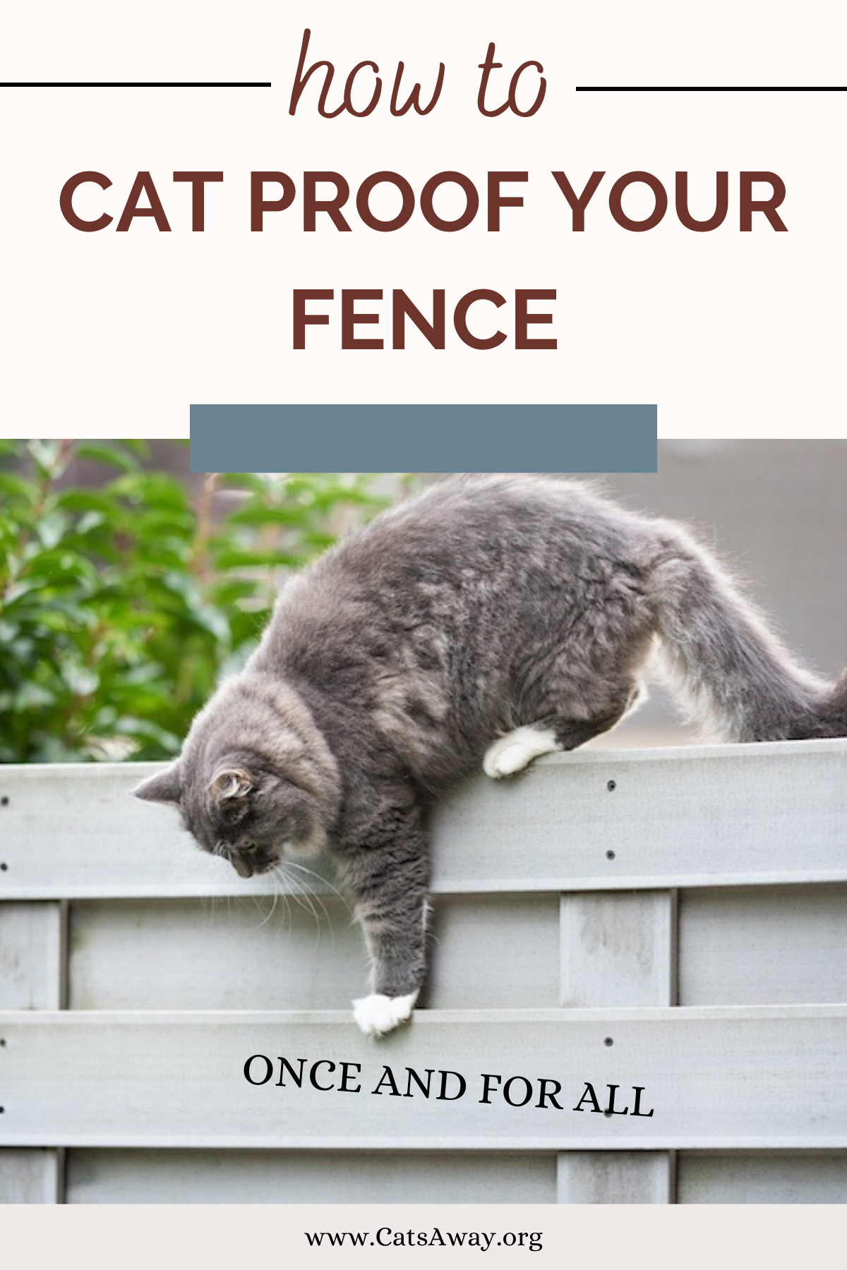 Cat Proof Fence Options - Ultimate Guide, Stop Stray Cats For Good