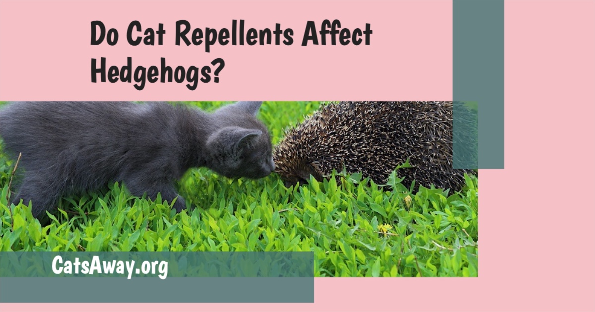 Do cat repellents affect hedgehogs?
